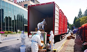 玛雅吧·maya(中国区)官方网站