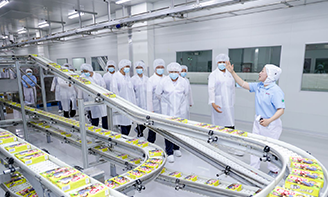 玛雅吧·maya(中国区)官方网站