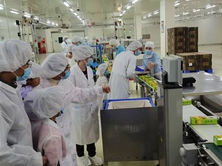 玛雅吧·maya(中国区)官方网站