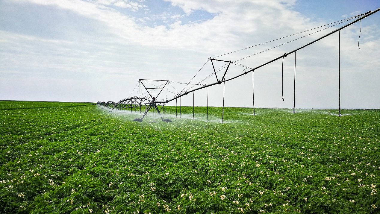 玛雅吧·maya(中国区)官方网站